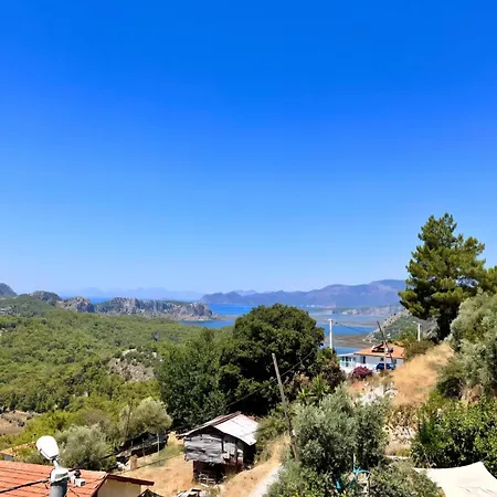 Apartman Kozalak Evleri